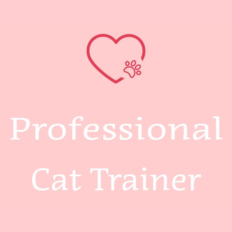 Professional Cat Trainer