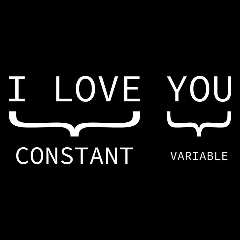 Konstante Variable Programmierer