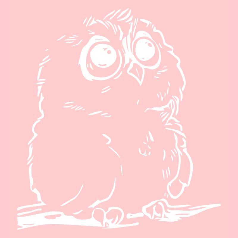 Cute owl