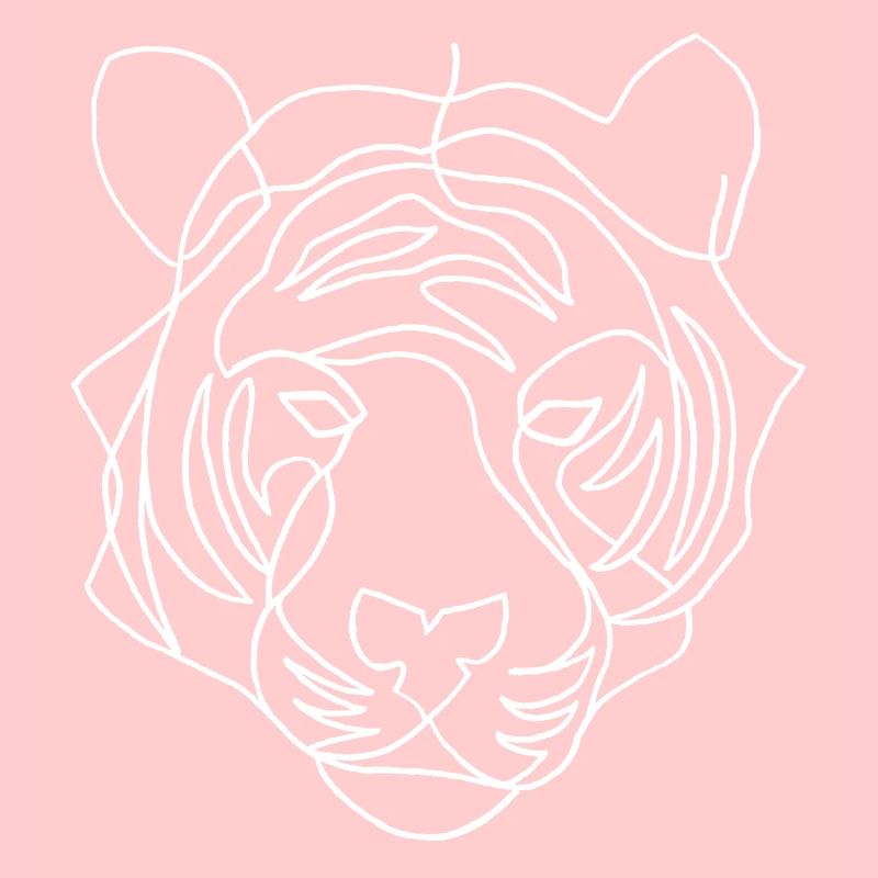Esquisse du tigre blanc