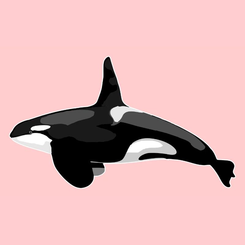 Orca