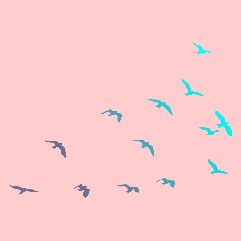 Migration des oiseaux