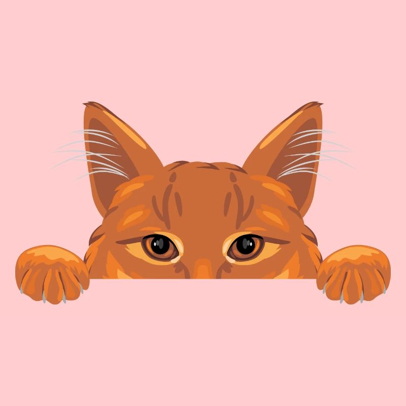 Peeking Ingwer Katze