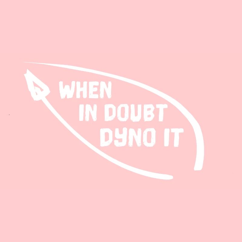 WHEN IN DOUBT DYNO IT Klettern bouldern Kletterer