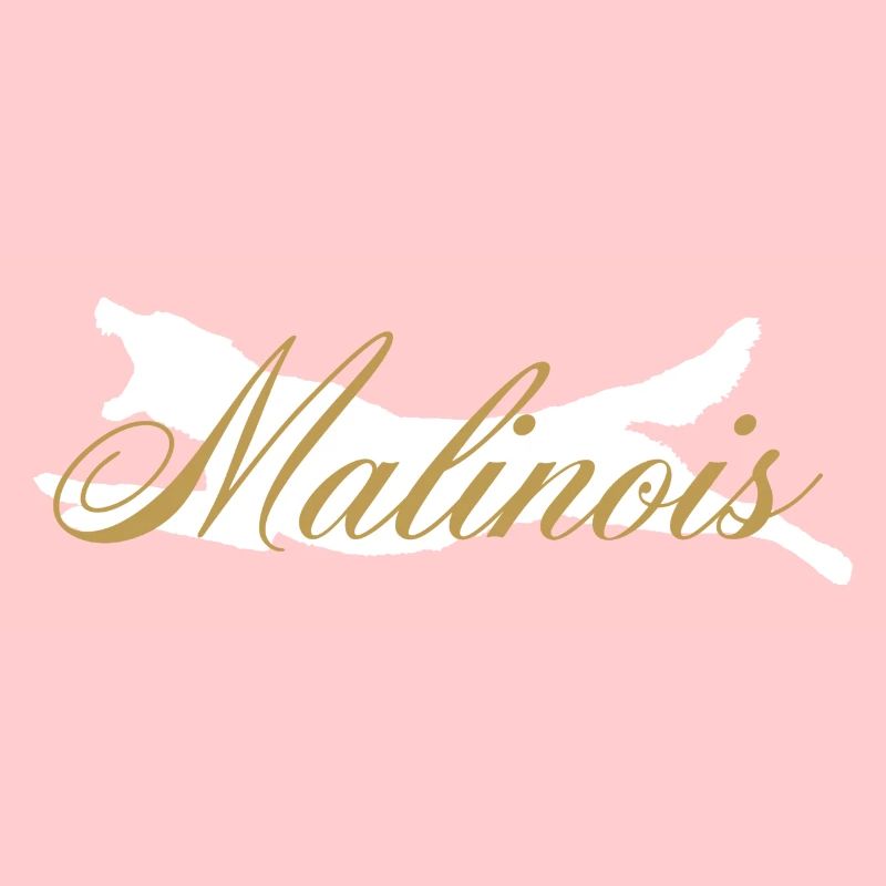 Mali Fly Malinois White