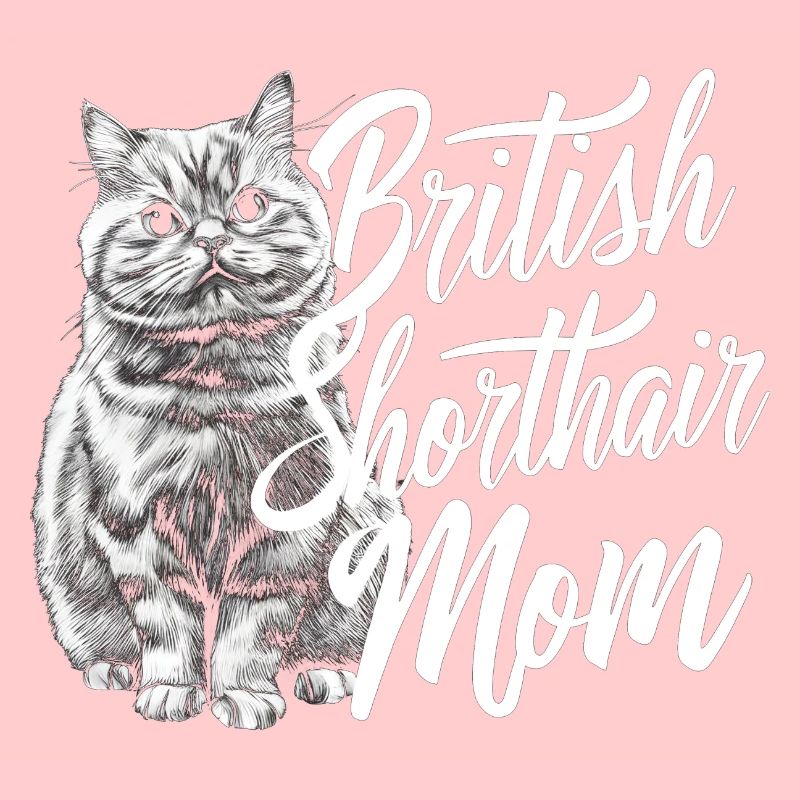 Katze Britisch Kurzhaar Geschenk