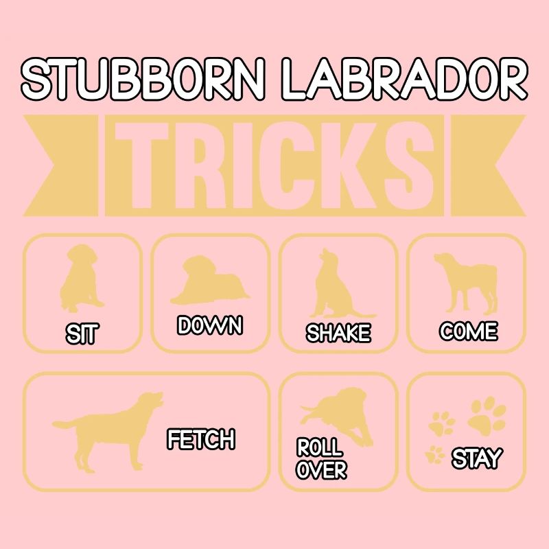 Stubborn labrador tricks