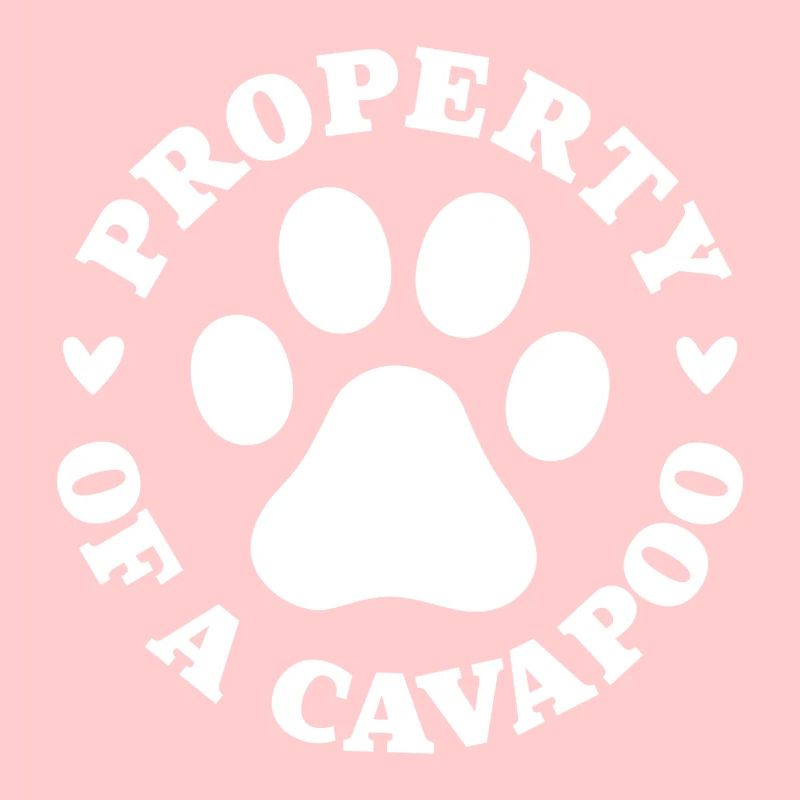 Propriété d’un Cavapoo