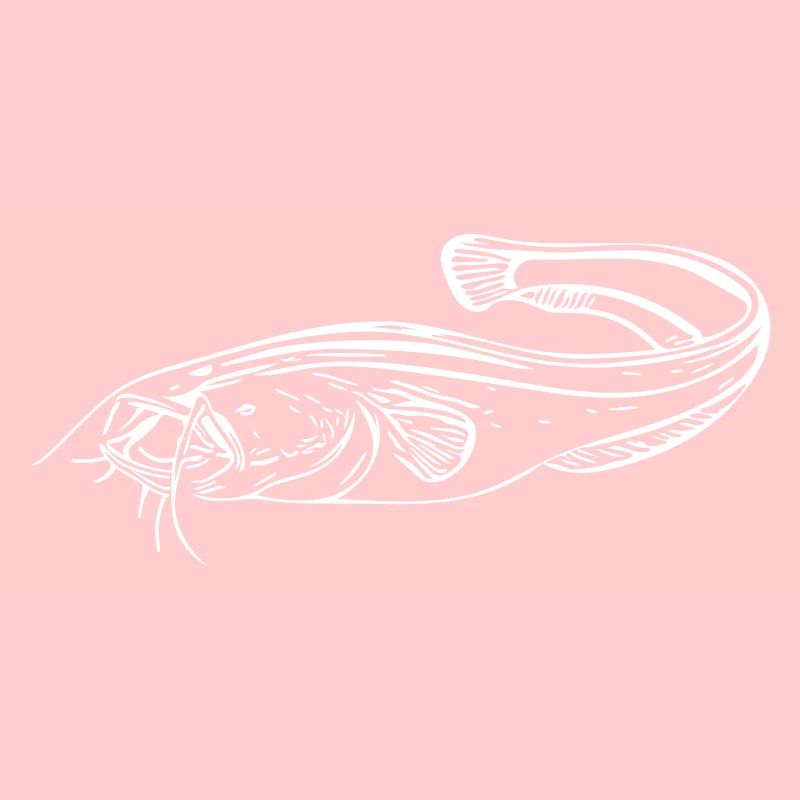 Poisson-chat - pêcheur