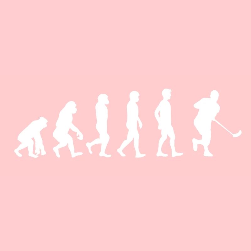 Unihockey Evolution
