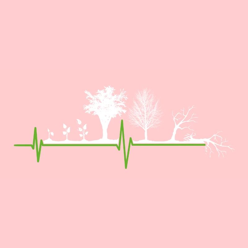 Plant Tree Evolution Garden Herzschalg