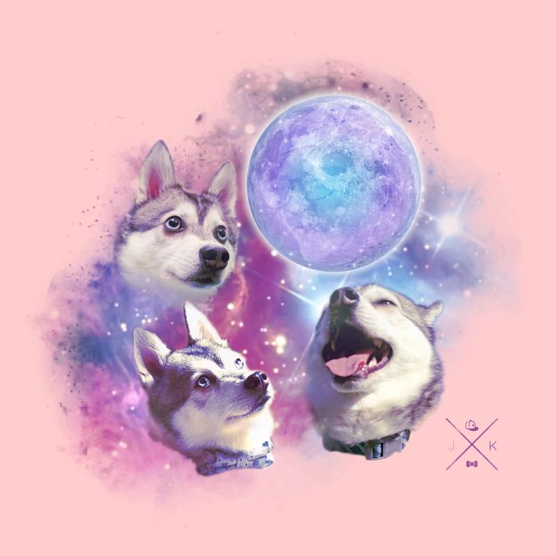 Three Kato Moon
