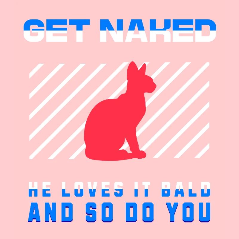 Get Naked Sphynx Cat