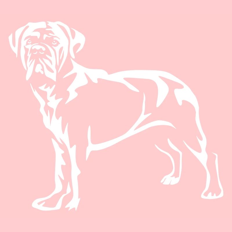 Cane Corso « Black Edition »