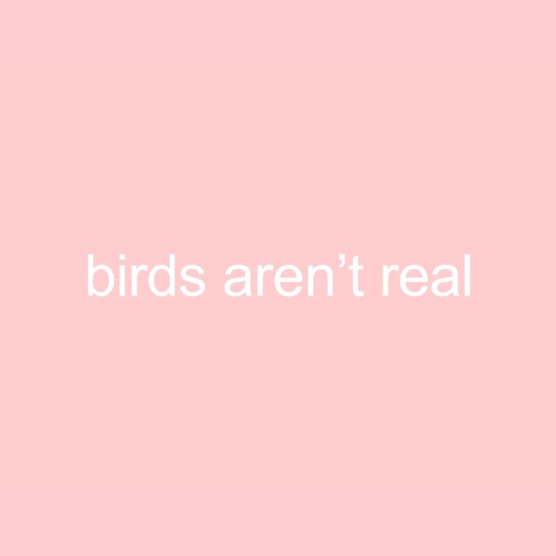 birds aren't real