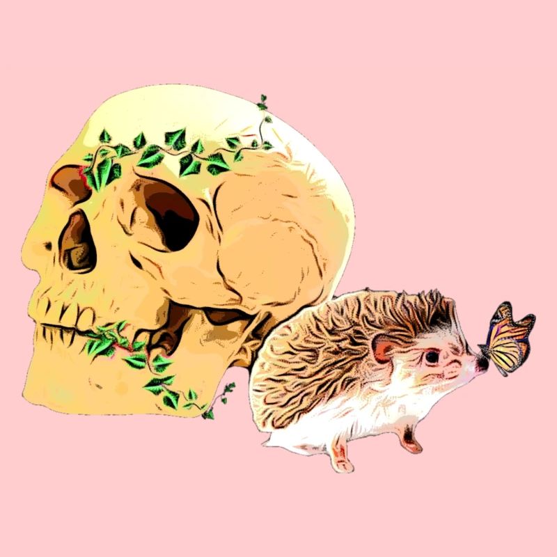 Kleiner neugieriger Igel