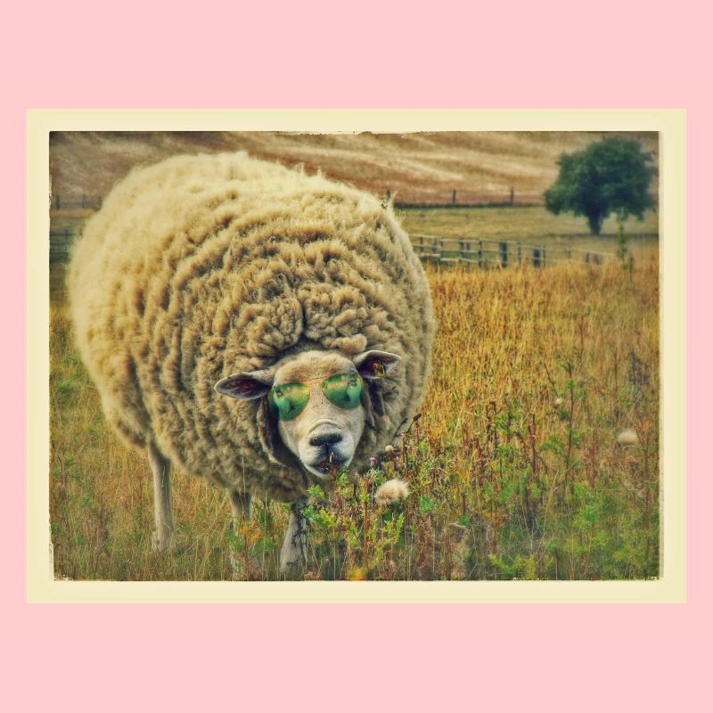 mouton