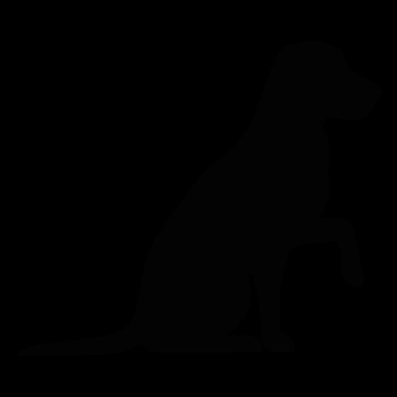 Hund