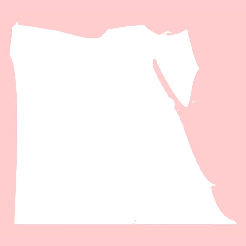 Egypt map flag