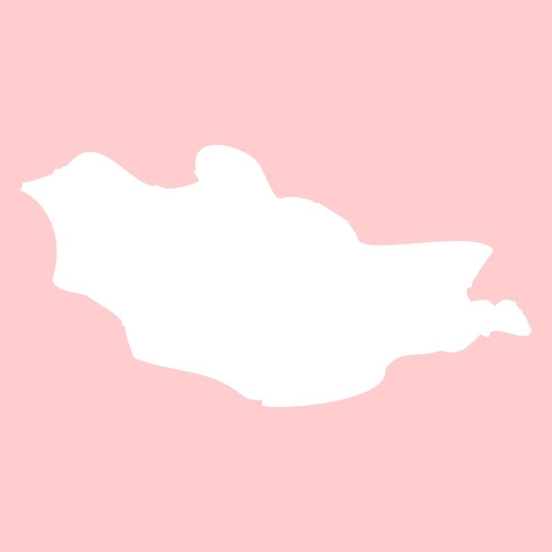 Mongolia map flag