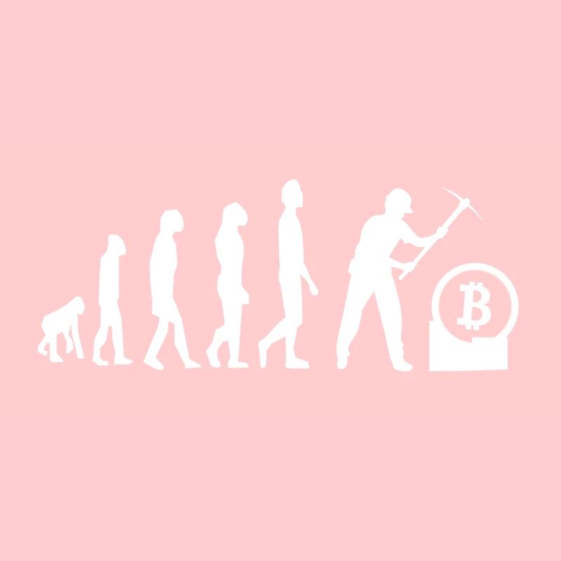 Évolution du mineur Bitcoin