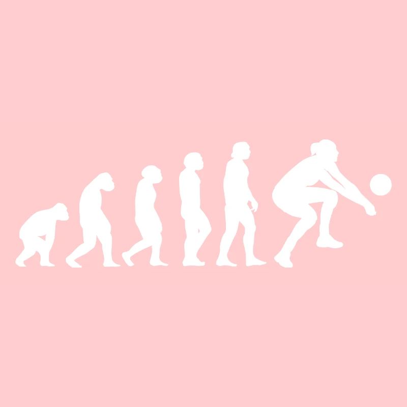 Sport Evolution Volleyball