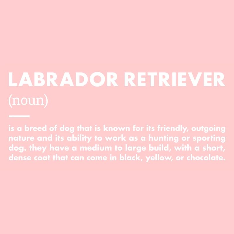 Définition du Labrador Retriever