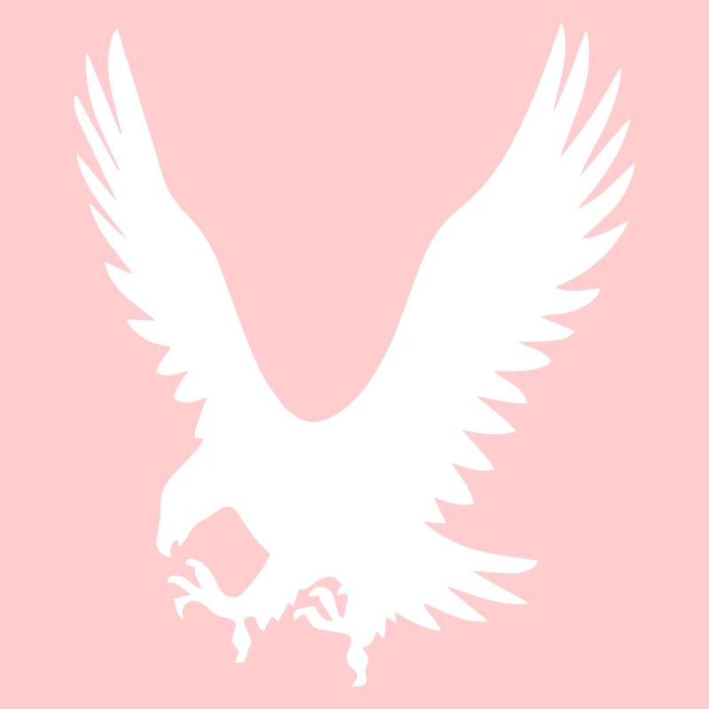 Les Eagles à l’attaque