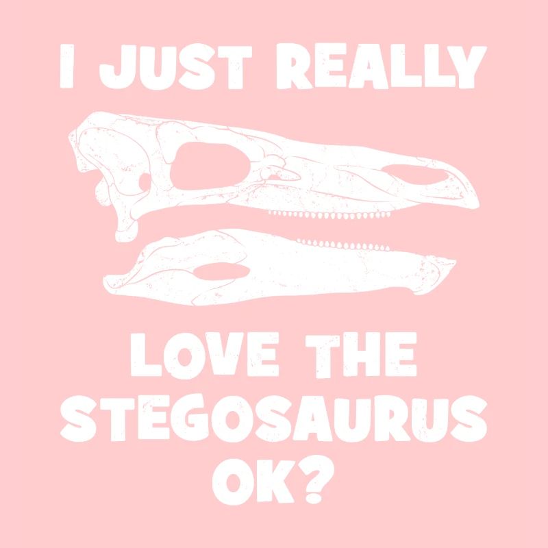 Stegosaurus Fossil Schädel