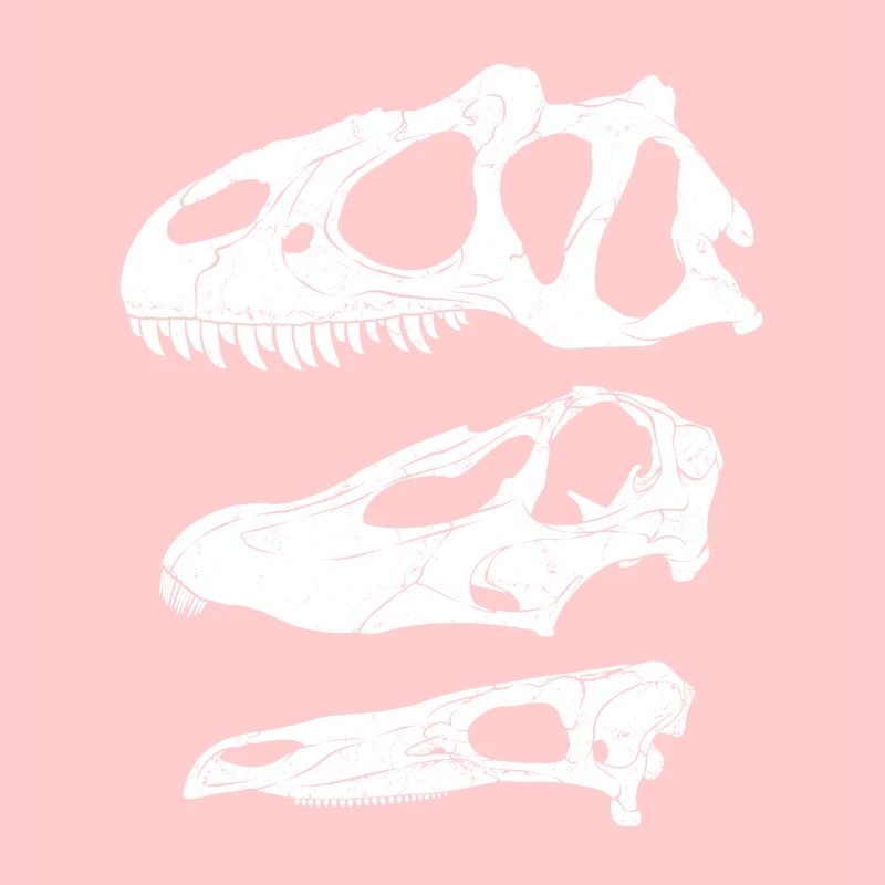Allosaurus Diplodocus Stegosaurus