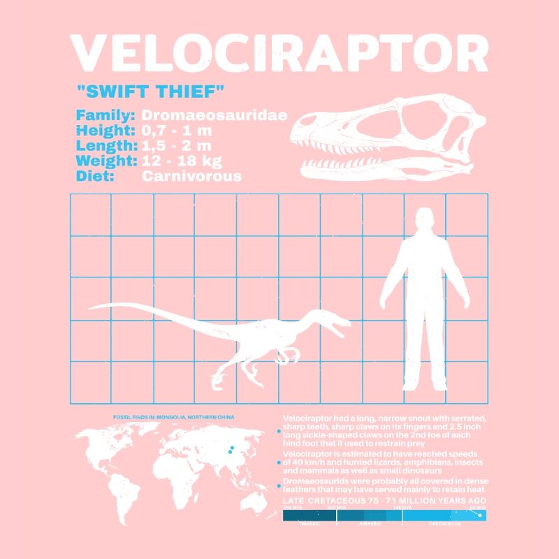 Velociraptor Fact Sheet