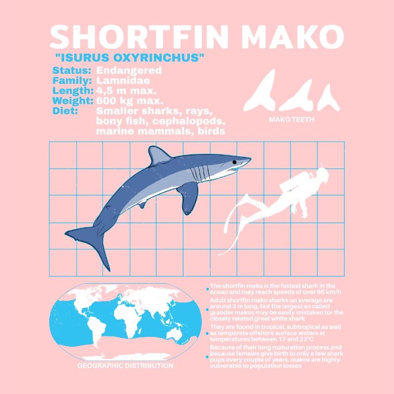 Makohai fact sheet