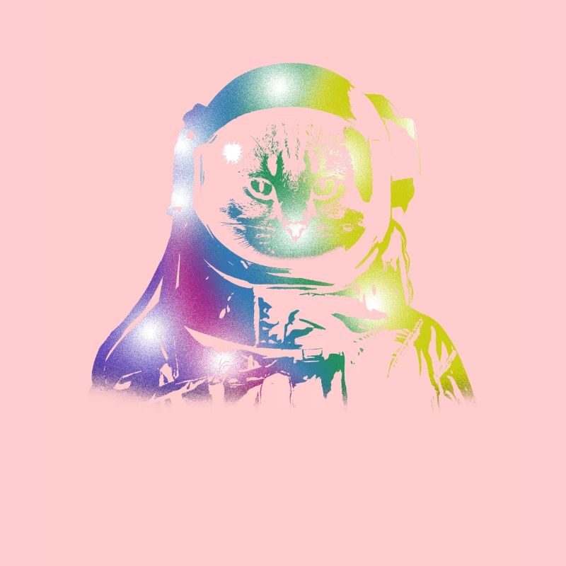 Chat Space Outerspace Galaxy Chats Chatons Propriétaires