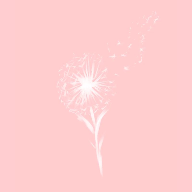 Fleur blanche