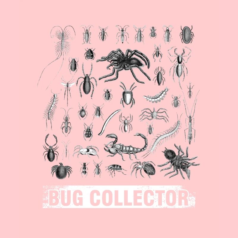Insects Entomology Insect Owners Animals Bug
