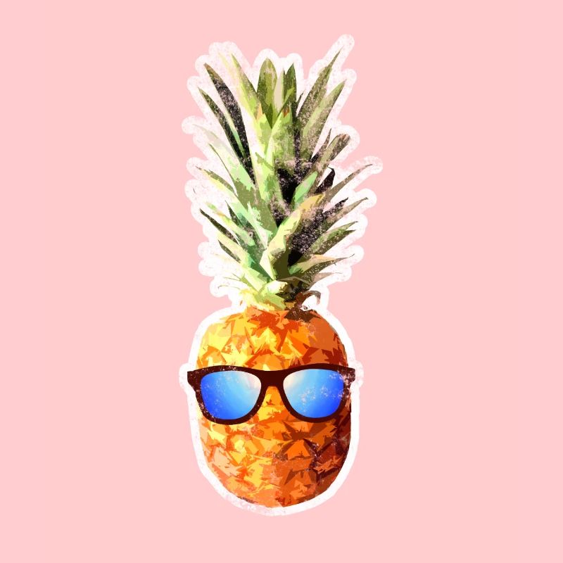 Pineapple Retro Beach Vintage Gift