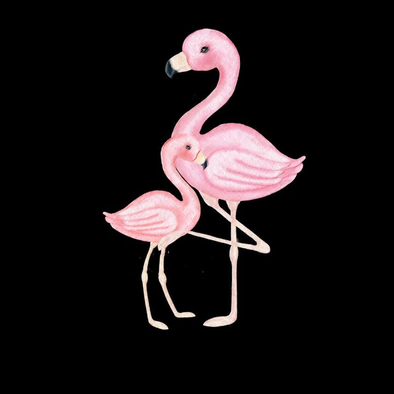 Flamant rose mère et enfant