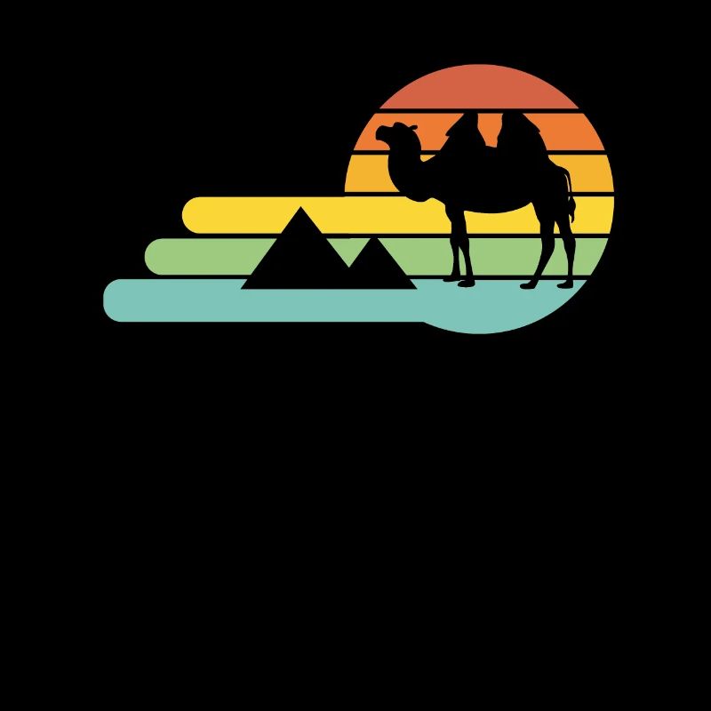 Chameau Egypte avec un soleil vintage
