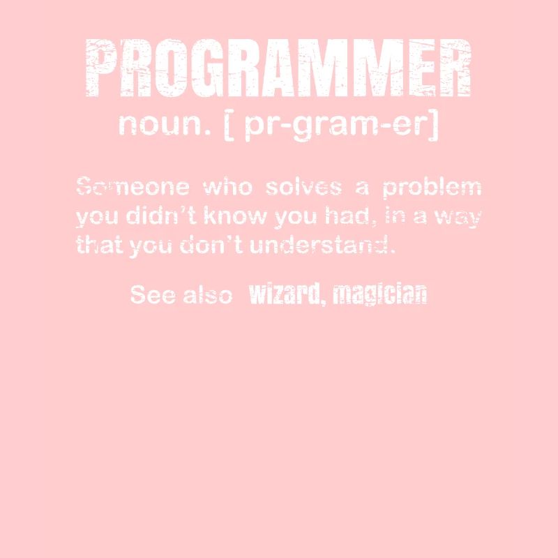 programmeur
