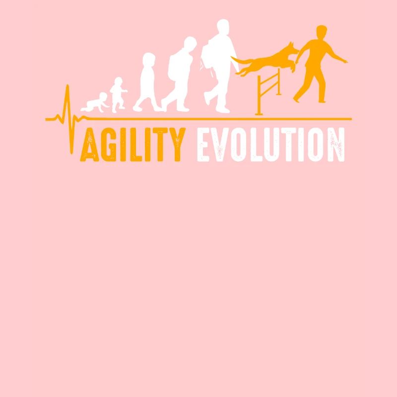 Naissance d'agilité