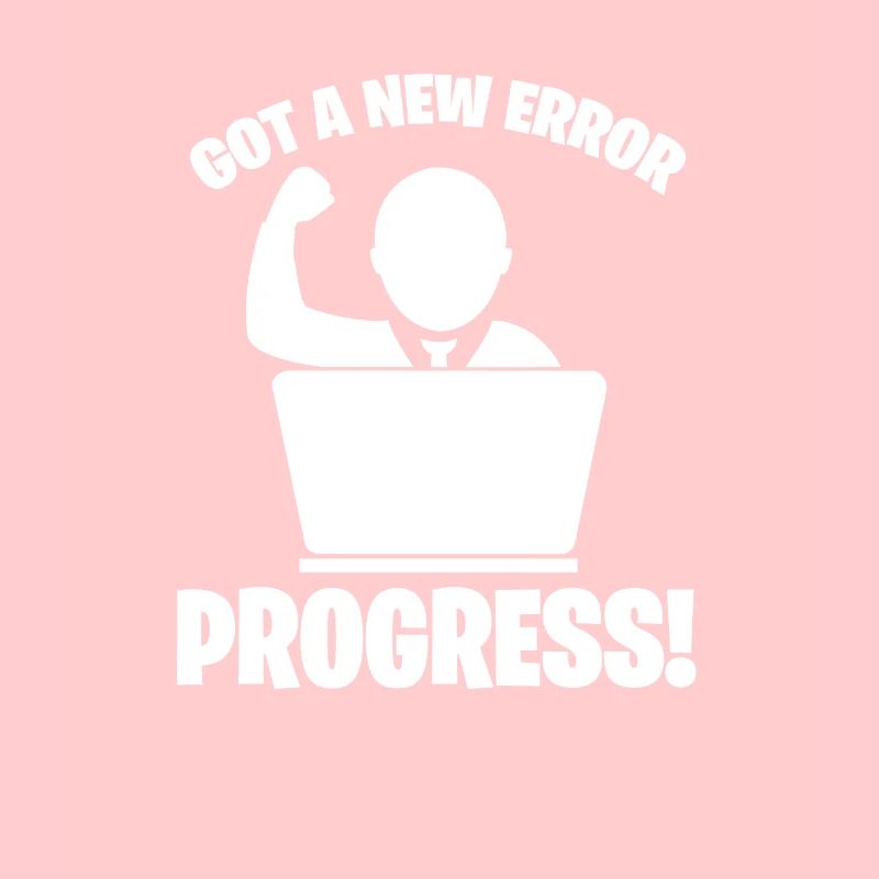 Software developer programmer software