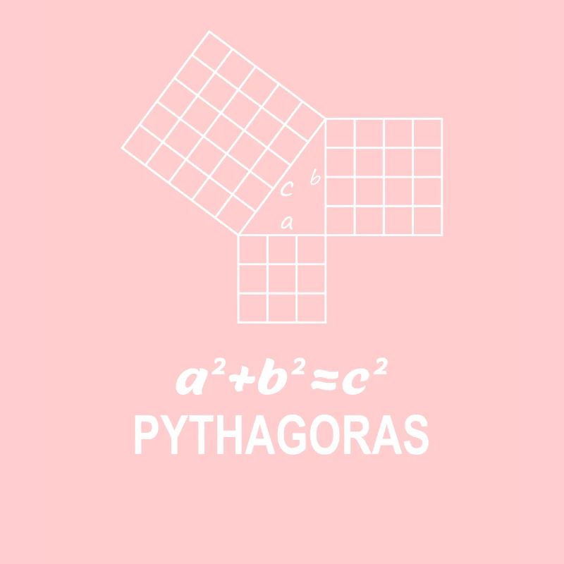 Jeu de Pythagore cadeau pour les profs de maths geek