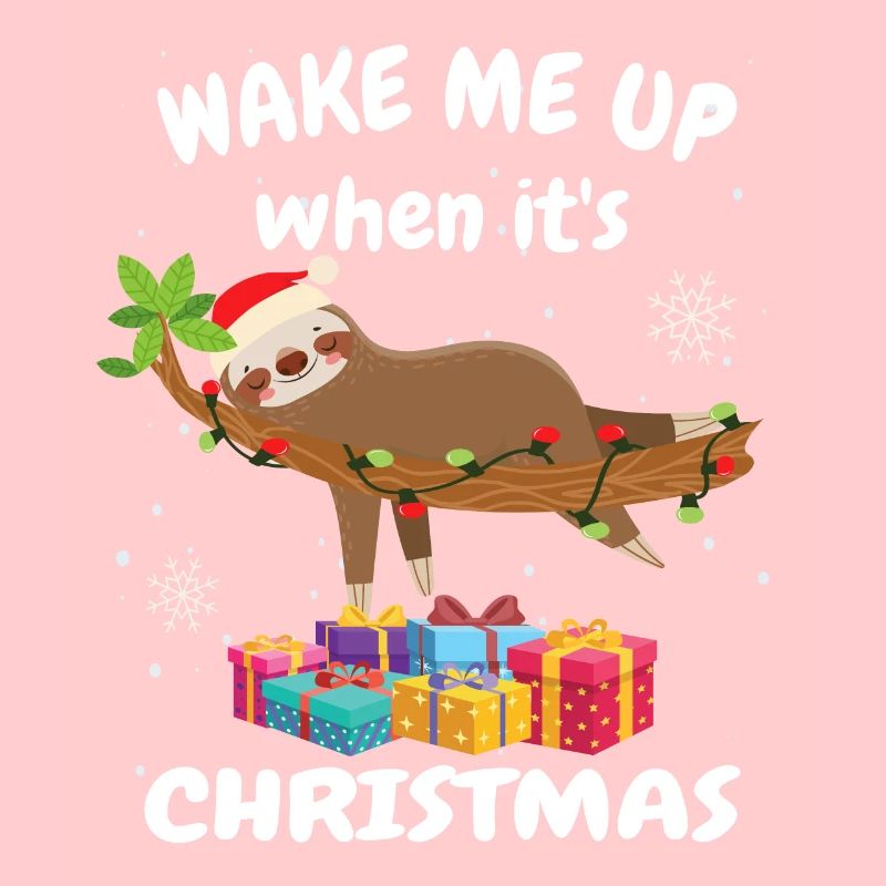Sloth wake up when it is Christmas