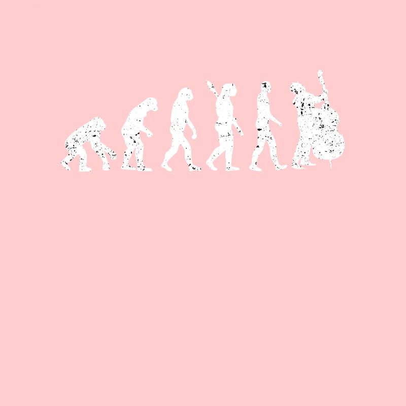 Contrebasse Evolution