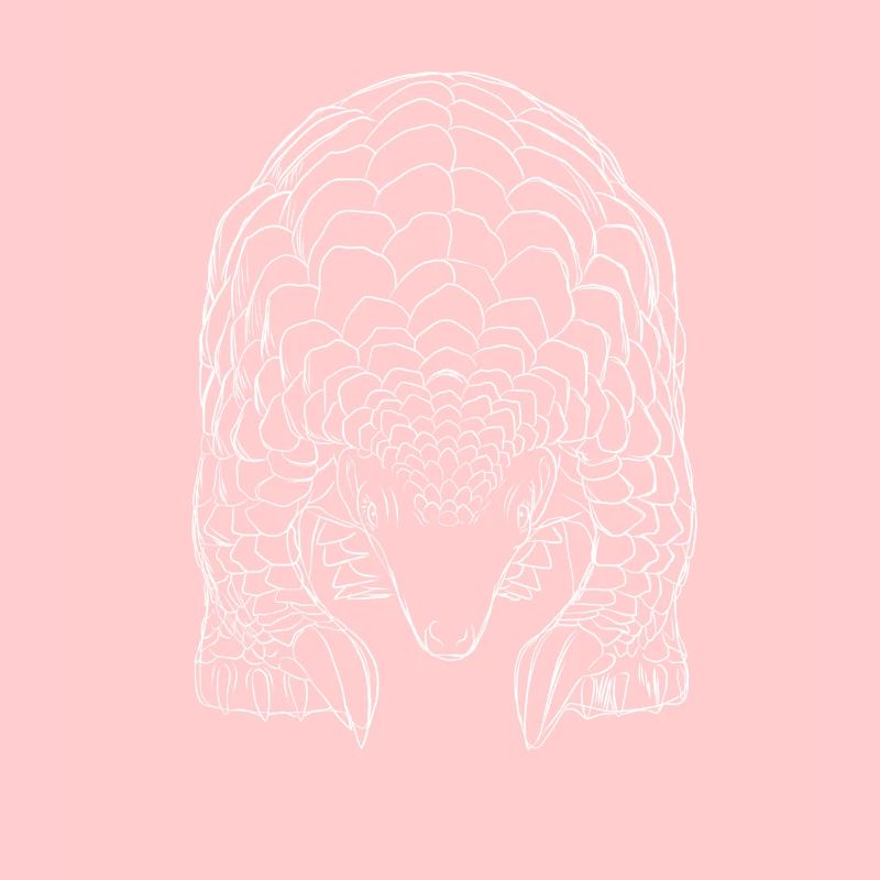Pangolin Strokes