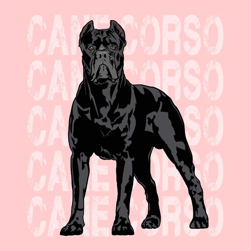 Cane Corso Molosser Mastiff Italien