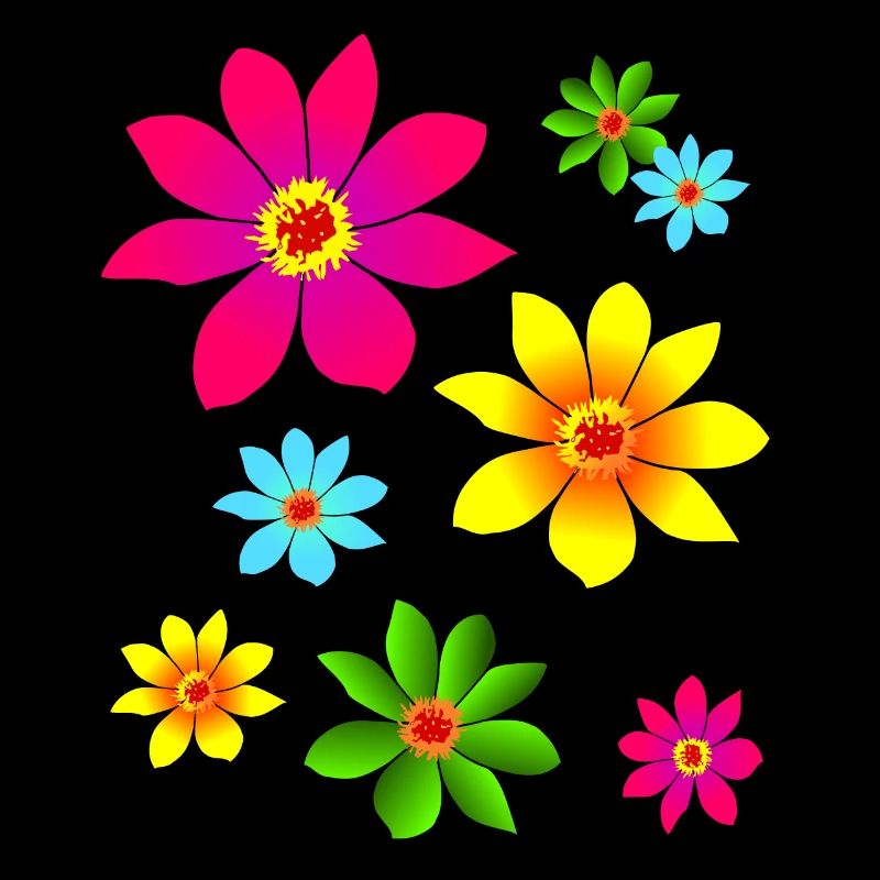 bunte Blumen, farbenfroh, blühend, Blüten, blumig