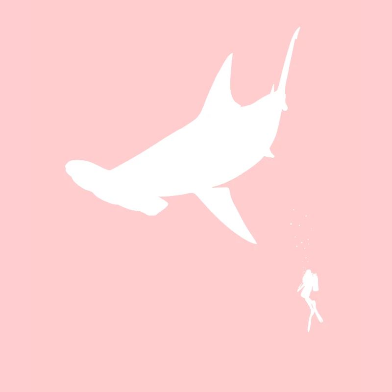 Poisson de requin-marteau