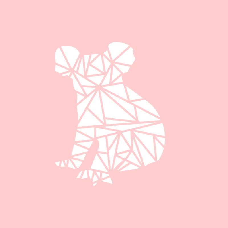 sitting koala