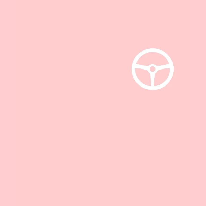 The steering wheel